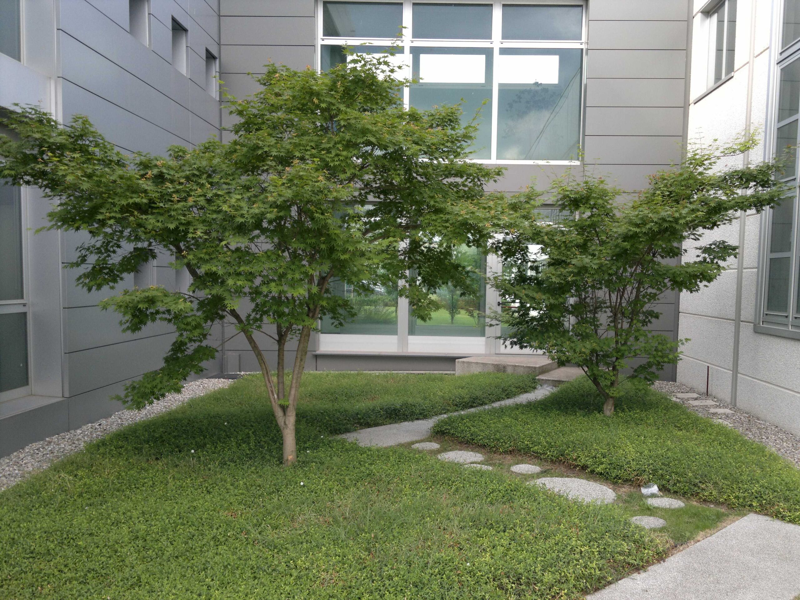 Corte verde interna a un edificio aziendale con alberi, tappezzanti e percorso pedonale