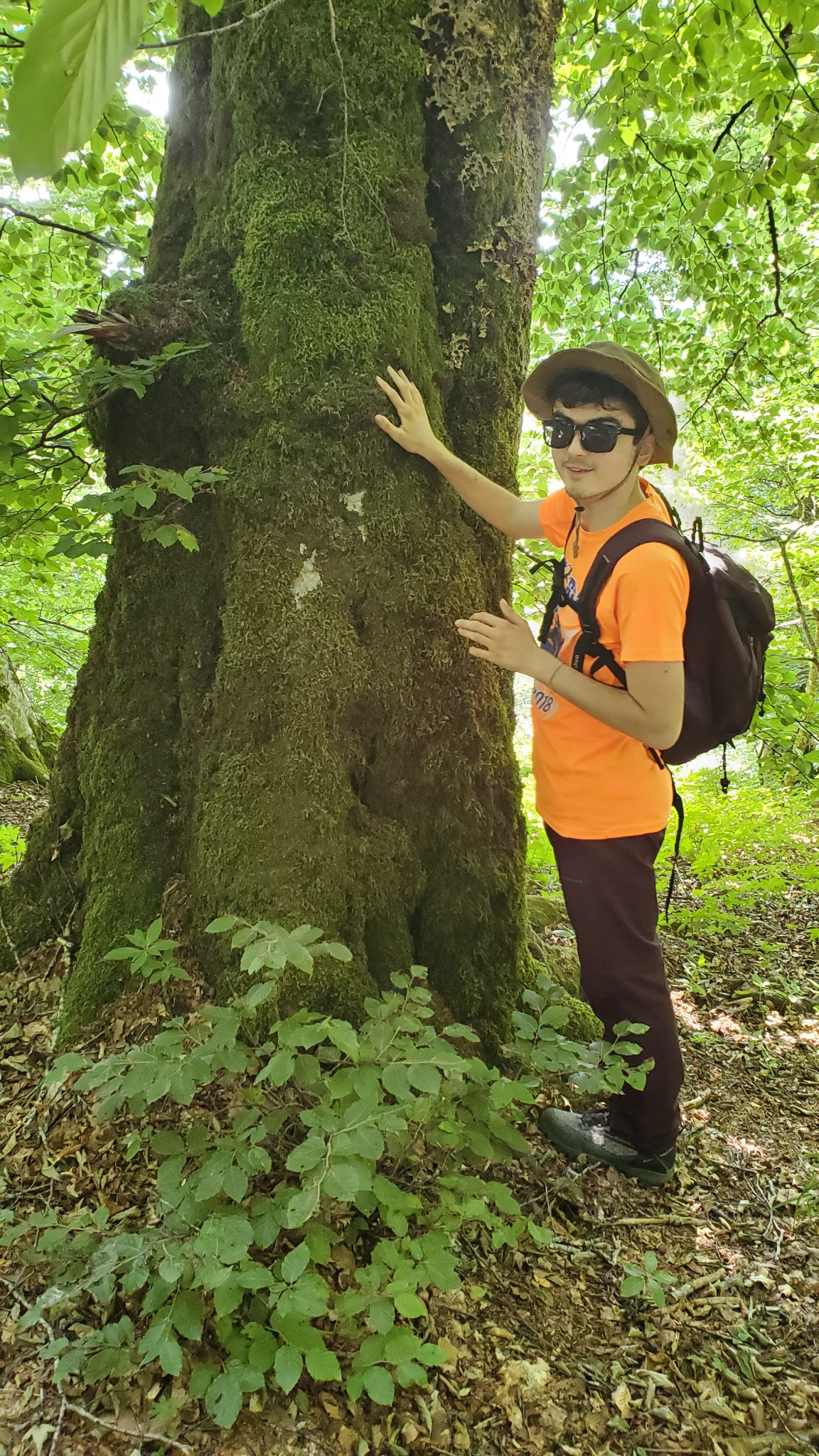 Persona in contatto con il tronco di un albero durante un’esperienza sensoriale nella natura